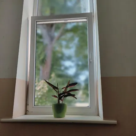 Kipsala Cozy Riga