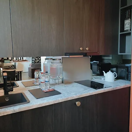 Kipsala Cozy Appartement Riga